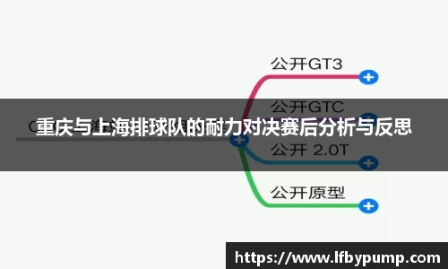 重庆与上海排球队的耐力对决赛后分析与反思