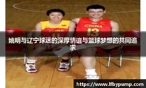 完美体育登录入口